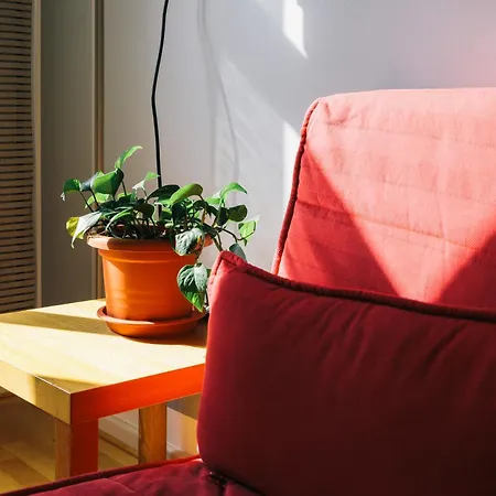 St Christopher's - *